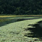 Jezerka Cerknica