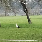 Jezerka * Cerknica