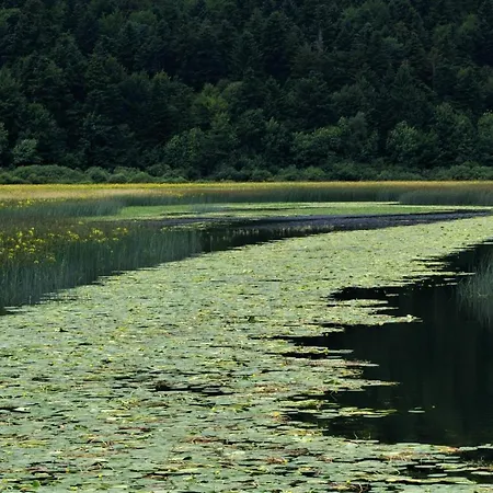 Jezerka Cerknica