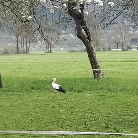 Jezerka * Cerknica